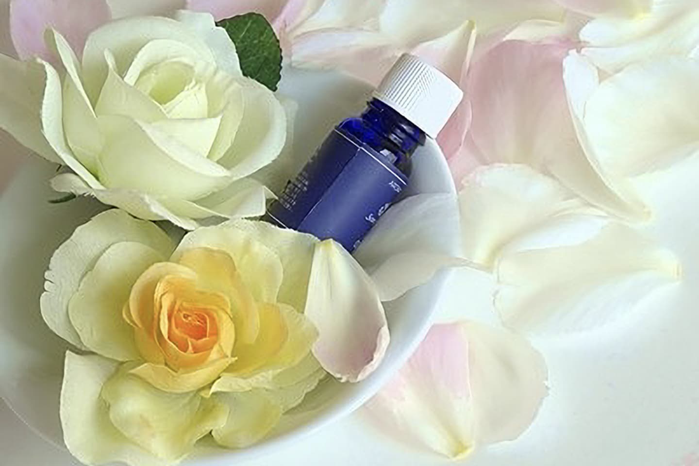 アロマカウンセリング